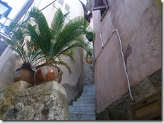 P1130008