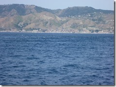P1130059