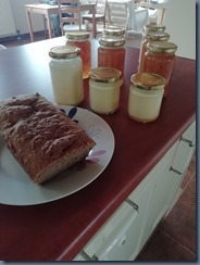 005_thumb