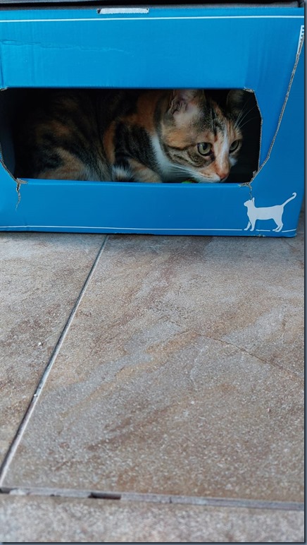 New Lidl box #1