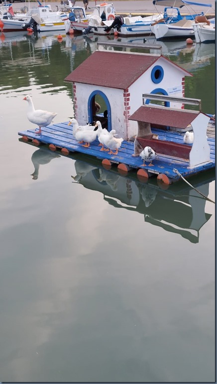 010 (1)