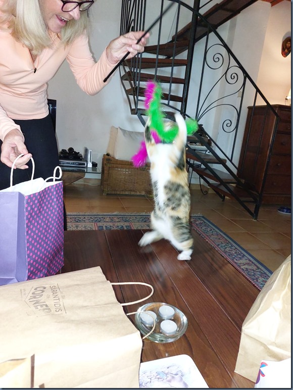Lily Xmas 8