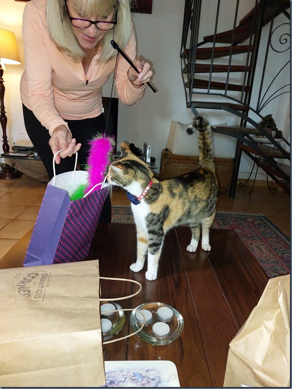 Lily Xmas 9.2