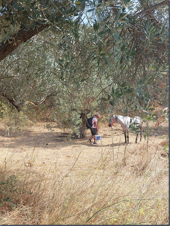 Loutra (4)
