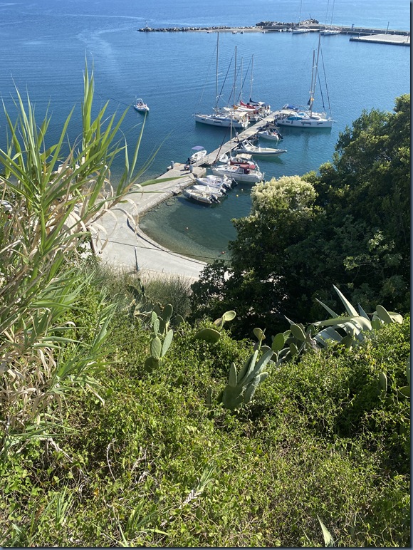 Skopelos Harbour (2023-24 pic)