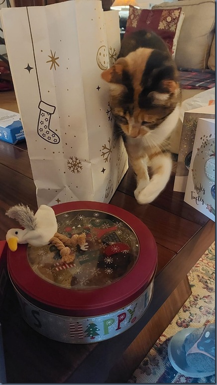 Xmas Day #3
