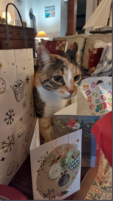 Xmas Day #4